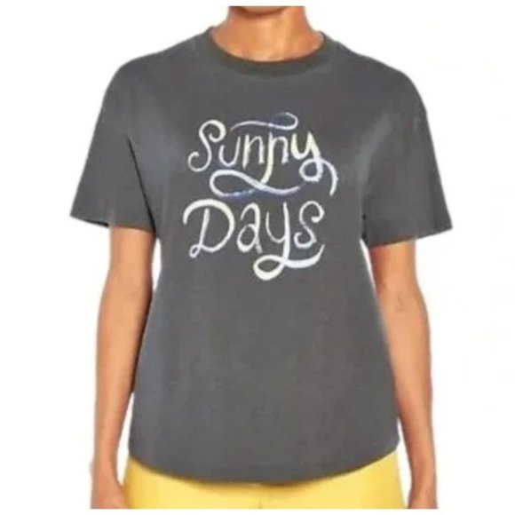 Wildfox Sunny Days Graphic Cotton T-Shirt Gray XL - Picture 1 of 7